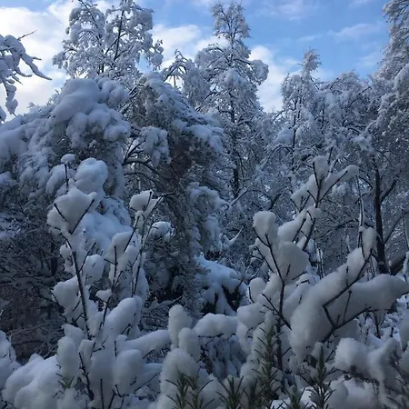 Stas-przy Szkole Nr3 W Skawie Bauernhof Skawa